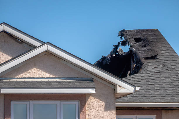 Top rated local Fire Damage Removal specialists in North Richland Hills, TX